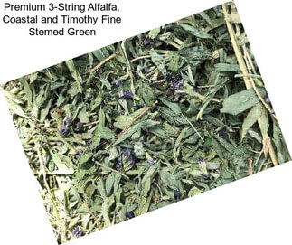 Premium 3-String Alfalfa, Coastal and Timothy Fine Stemed Green