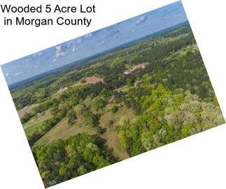 Wooded 5 Acre Lot in Morgan County
