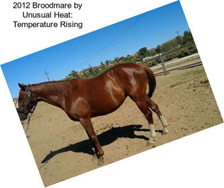 2012 Broodmare by Unusual Heat: Temperature Rising