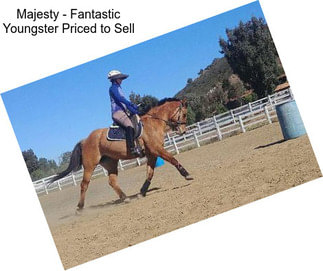 Majesty - Fantastic Youngster Priced to Sell
