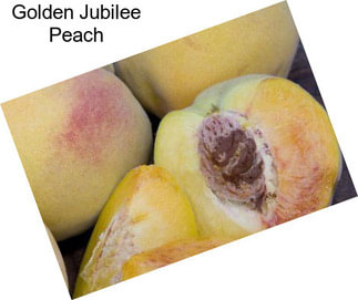 Golden Jubilee Peach