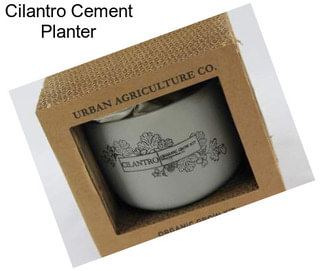 Cilantro Cement Planter