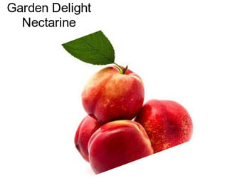 Garden Delight Nectarine