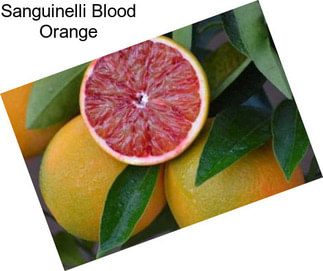 Sanguinelli Blood Orange