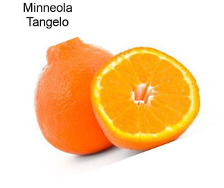 Minneola Tangelo