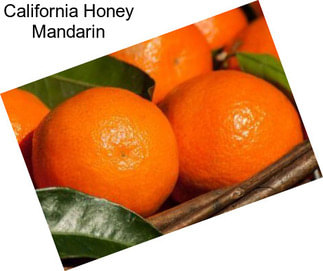 California Honey Mandarin