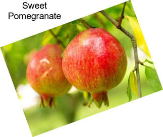 Sweet Pomegranate