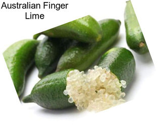 Australian Finger Lime