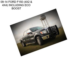 09-14 FORD F150 (4X2 & 4X4) INCLUDING ECO BOOST