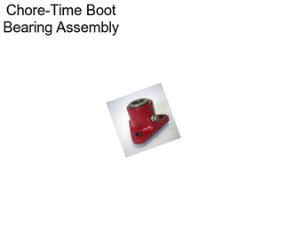 Chore-Time Boot Bearing Assembly