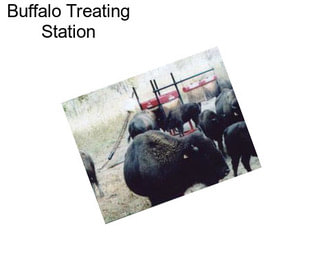 Buffalo Treating Station