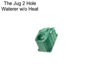 The Jug 2 Hole Waterer w/o Heat