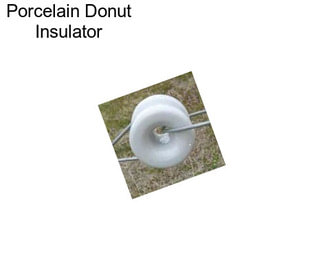 Porcelain Donut Insulator