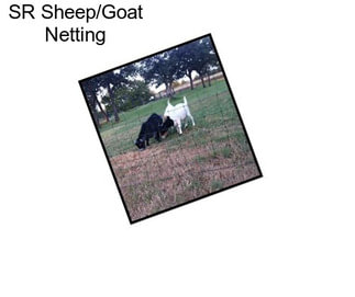 SR Sheep/Goat Netting