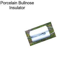 Porcelain Bullnose Insulator