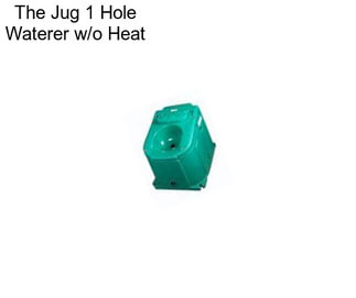 The Jug 1 Hole Waterer w/o Heat