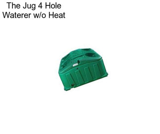 The Jug 4 Hole Waterer w/o Heat