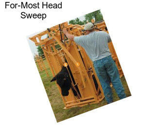 For-Most Head Sweep