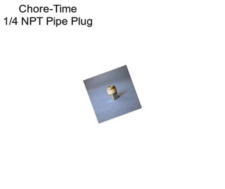 Chore-Time 1/4 NPT Pipe Plug