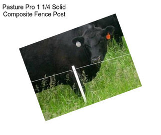 Pasture Pro 1 1/4\