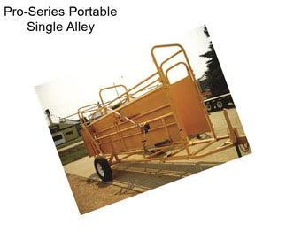 Pro-Series Portable Single Alley