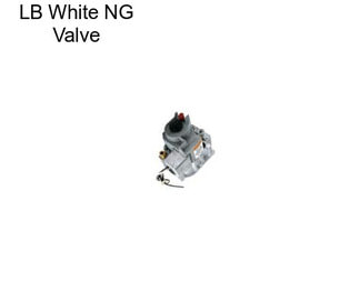 LB White NG Valve