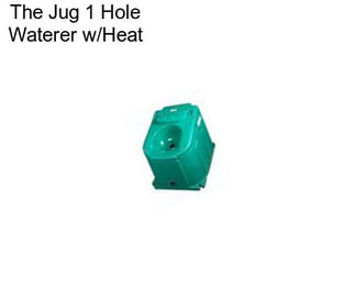 The Jug 1 Hole Waterer w/Heat