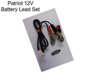 Patriot 12V Battery Lead Set