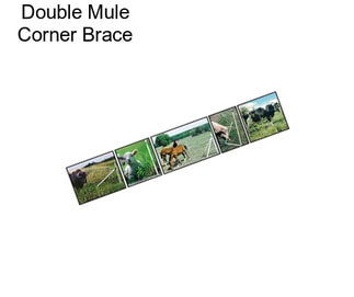 Double Mule Corner Brace