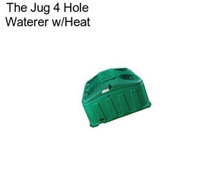 The Jug 4 Hole Waterer w/Heat