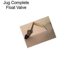 Jug Complete Float Valve