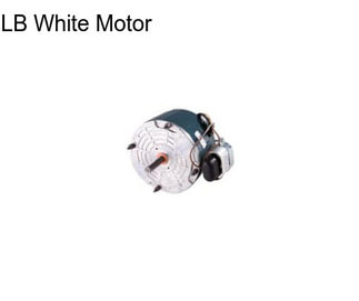 LB White Motor