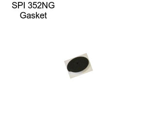 SPI 352NG Gasket