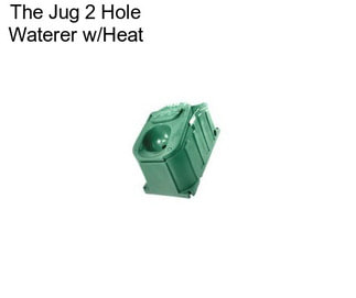 The Jug 2 Hole Waterer w/Heat