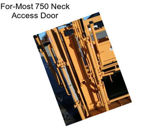 For-Most 750 Neck Access Door
