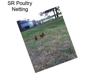 SR Poultry Netting