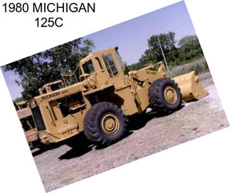 1980 MICHIGAN 125C