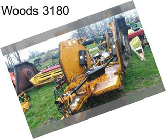 Woods 3180