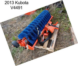 2013 Kubota V4491