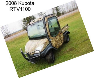 2008 Kubota RTV1100