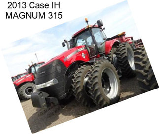 2013 Case IH MAGNUM 315