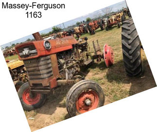 Massey-Ferguson 1163