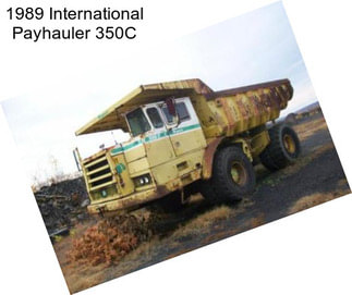 1989 International Payhauler 350C