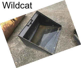 Wildcat