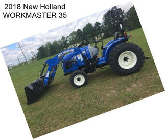 2018 New Holland WORKMASTER 35