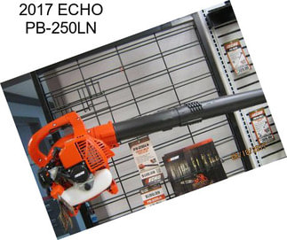 2017 ECHO PB-250LN