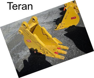 Teran