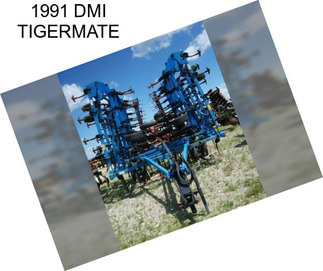 1991 DMI TIGERMATE