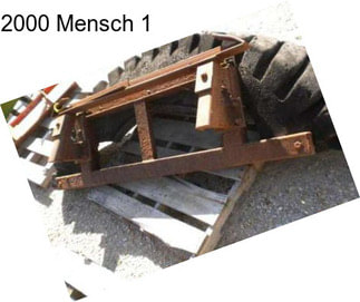 2000 Mensch 1