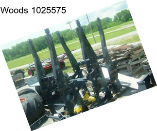 Woods 1025575